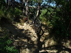 SAM_0198