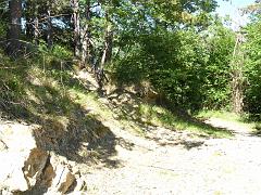 SAM_0199