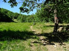 SAM_0200