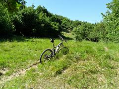 SAM_0201