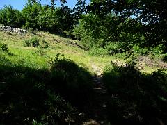 SAM_0202