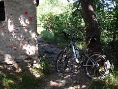 SAM_0204