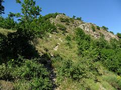 SAM_0205