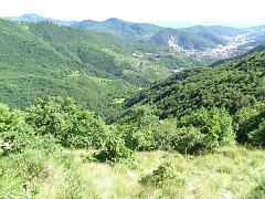 SAM_0206