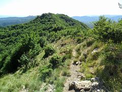 SAM_0208