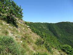 SAM_0209