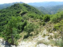 SAM_0211