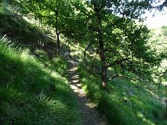 SAM_0213