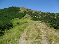 SAM_0214
