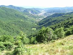 SAM_0215