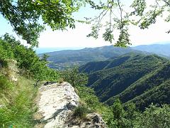 SAM_0219