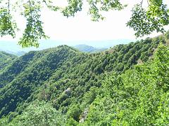 SAM_0220