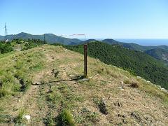 SAM_0225