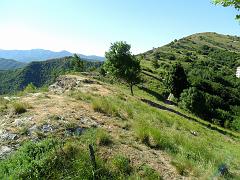 SAM_0226