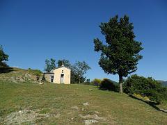 SAM_0230