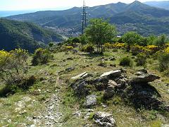 SAM_0232
