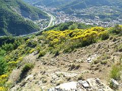 SAM_0233