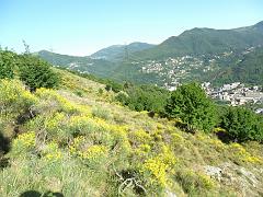 SAM_0235