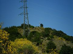 SAM_0236