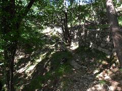 SAM_0238