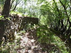 SAM_0239