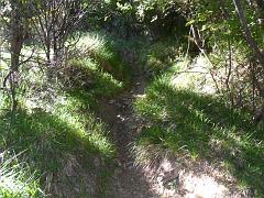 SAM_0240
