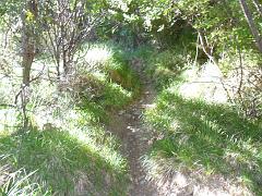 SAM_0241