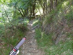 SAM_0242
