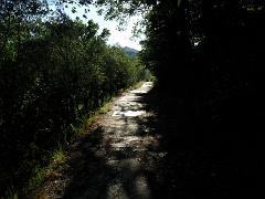 SAM_0246