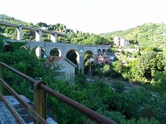 SAM_0248