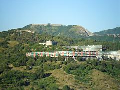 SAM_0250