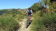 SAM_0971