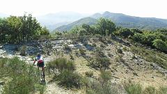SAM_0972