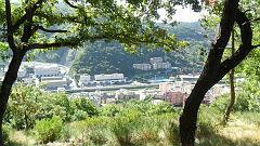 SAM_0975