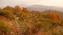 SAM_1531