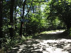 P7170017