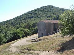 P7170019
