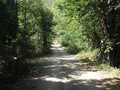 P7310012