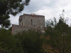 P8310045