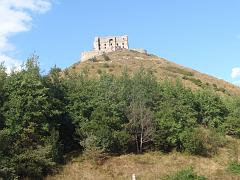 P8310060