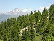 DSCN0521