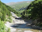 DSCN0545