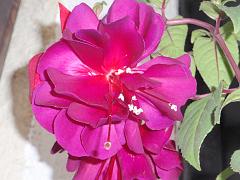 P6240268
