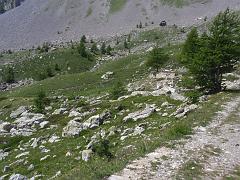 P6240296