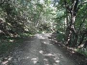 P7100014