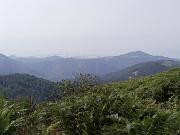 P7210042