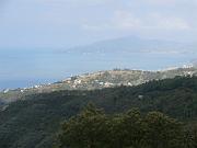 P8250028