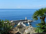 DSCN0505