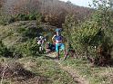 SAM_2092