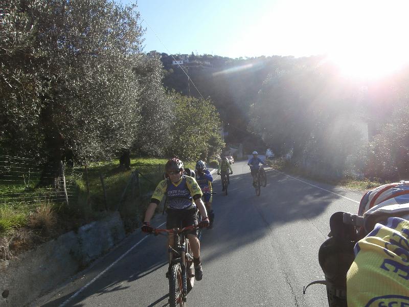 PA110010.JPG